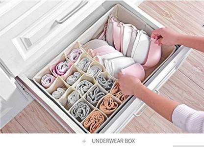 Lingerie Storage Case (Bra and Panty, Pack of 1)