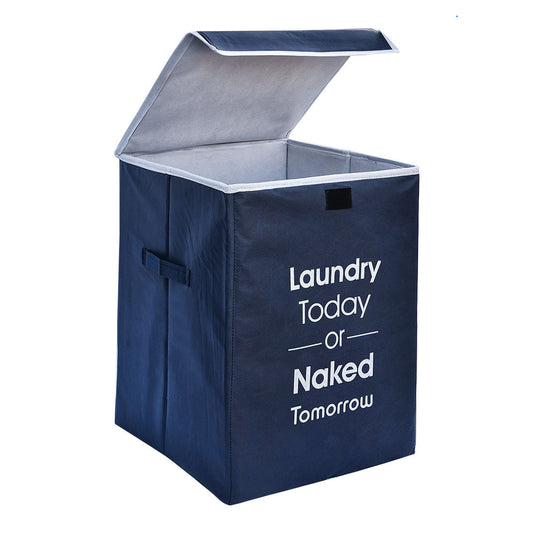 75 L Blue Laundry Bag  (Non-Woven)