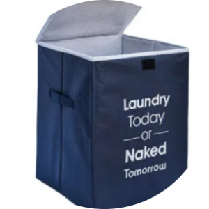 Laundary With Lid